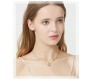 Stylish 18k Gold Plated Butterfly Necklace Pendant Simple and Fancy Jewellery for Women and Girls Rose Gold