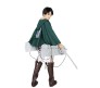 Attack On Titan Anime Inspired Green Cloak - Anime Cosplay Costume Cape Hoodie Dress Cosplay Costume Uniform Cape Green, L