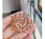 Gold Pearl Crystal Snowflake Flower Design Brooch Pin Badge Fashion Brooches Clothing Saree Scarf Dress Rhinestone Clip Designer Bags Decoration Jewelry Gift for Women Girls