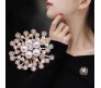 Gold Pearl Crystal Snowflake Flower Design Brooch Pin Badge Fashion Brooches Clothing Saree Scarf Dress Rhinestone Clip Designer Bags Decoration Jewelry Gift for Women Girls