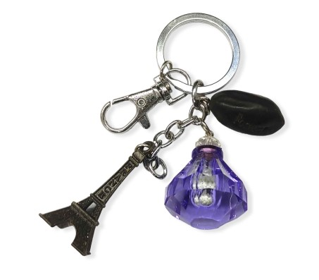 Glow in Dark Blue Diamond Design With Metal Eiffel Tower Paris Key Chain and Message Seed Keychain for Girls / Woman Key Ring