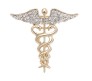 Medical Caduceus Doctors Gold Plated Crystal Rhinestone Unisex Brooch Lapel Pin Metal Stainless Steel Doctor Angel Wings Lepel Blazer Suit for Men and Women