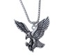 Eagle Pendant with Stainless Steel Eagle Chain for Men and Women - Eagle Locket with 24-Inch Round Box Chain for Men's Pendant D2
