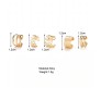 Stylish Silver Gold Rose Black Set 20 Pcs Combo Clip On Ear Cuff Earrings Adjustable Korean Stainless Steel Punk Non Piercing Earings Without Piercing Clips for Women Girls Men Boys