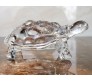 Fengshui 18cm Clear Crystal Turtle Medium Transparent Feng Shui Kachhua Glass Showpiece Vastu for Peace & Prosperity Home Decor and Gifting