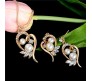 Heart Shape Pearl With Crystal Rhinestones in Gold Plated Pendant Earring Jewellery Set for Girls and Women