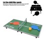 Mini 60 cm Table Tennis Portable Lightweight Sturdy Folding Indoor Table 2 Table Tennis Paddles and 2 Ping Pong Balls Game Set Toy for Kids