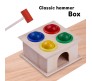 Wooden Hammer Ball Knock Pounding Bench with Box Case Fine Motor and Dexterity Skills Early Educational Learning Toy Set for Kids Boys and Girls 2+ Years Multicolor
