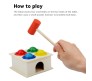 Wooden Hammer Ball Knock Pounding Bench with Box Case Fine Motor and Dexterity Skills Early Educational Learning Toy Set for Kids Boys and Girls 2+ Years Multicolor