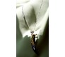 Black Wolf Teeth Pendant Necklace Tribal Tiger Locket Tooth Jewellery Stylish Dot Chain Included for Men and Boys