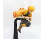 Demon Slayer Anime Zenitsu Action Figure 17 cm Collectible Toy For Office Desk & Study Table Gift for Fans