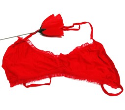 Rose That Turns To Bra [17 Inches]