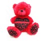 Red Teddy With I Love You Pouch Large Size [18 inches]