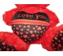 Red Teddy With I Love You Pouch Large Size [18 inches]
