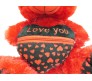 Red Teddy With I Love You Pouch Large Size [18 inches]