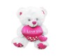 Pink Teddy With I Love You Pouch Medium Size [13 inches]