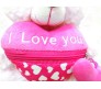 Pink Teddy With I Love You Pouch Medium Size [13 inches]