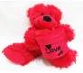 Red Teddy With Love Box Medium Size [10 inches]