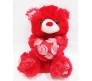 Red Teddy With Rose Design Heart [11 inches]