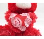 Red Teddy With Rose Design Heart [11 inches]
