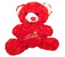 Red Rose Teddy With Love Message [12 inches]