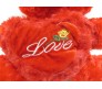 Red Rose Teddy With Love Message [12 inches]