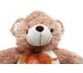 Brown & White Teddy New Innovative Style Large Size [20 inches]