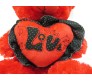 Red Teddy With Love Written Perfect for Valentine [18 inches]