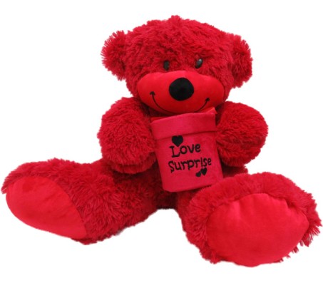 Red Teddy With Love Surprise Box Large Size [21 inches]