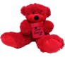 Red Teddy With Love Surprise Box Large Size [21 inches]