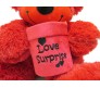 Red Teddy With Love Surprise Box Large Size [21 inches]