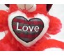 Teddy With Cap & Love Message Tomato Color Hiqh Quality [18 x 12 inches]