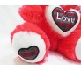 Teddy With Cap & Love Message Tomato Color Hiqh Quality [18 x 12 inches]