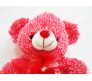 Red & White Teddy New Innovative Style Medium Size [14 inches]