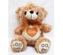 Brown & White Teddy New Innovative Style Medium Size [14 inches]