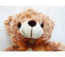Brown & White Teddy New Innovative Style Medium Size [14 inches]