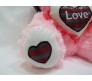 Teddy With Cap & Love Message Pink Color Hiqh Quality [18 inches]