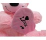 Pink Teddy With I Love You Box Large Size [21 inches]