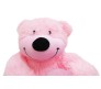 Pink Teddy With I Love You Box Large Size [21 inches]