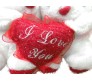 I Love You White Couple Teddy Medium Size [10.5 x 7.5 cm]