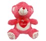 Red & White Teddy New Innovative Style Large Size [20 inches]