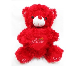 RED TEDDY WITH LOVE MESSAGE & ROSE INSIDE HEART [9 inches]]