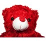 RED TEDDY WITH LOVE MESSAGE & ROSE INSIDE HEART [9 inches]]