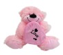 Pink Teddy With Love Box Medium Size [10 inches]