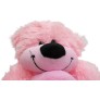 Pink Teddy With Love Box Medium Size [10 inches]