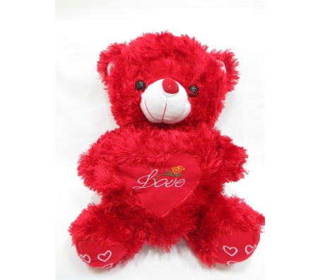 Red Teddy with Love Message & Rose inside Heart [22 inches]