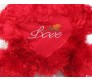 Red Teddy with Love Message & Rose inside Heart [22 inches]