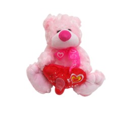 Red Fan Teddy With I Love You Message & Song [9 x 9 inches]