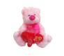 Red Fan Teddy With I Love You Message & Song [9 x 9 inches]