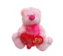 Red Fan Teddy With I Love You Message & Song [9 x 9 inches]